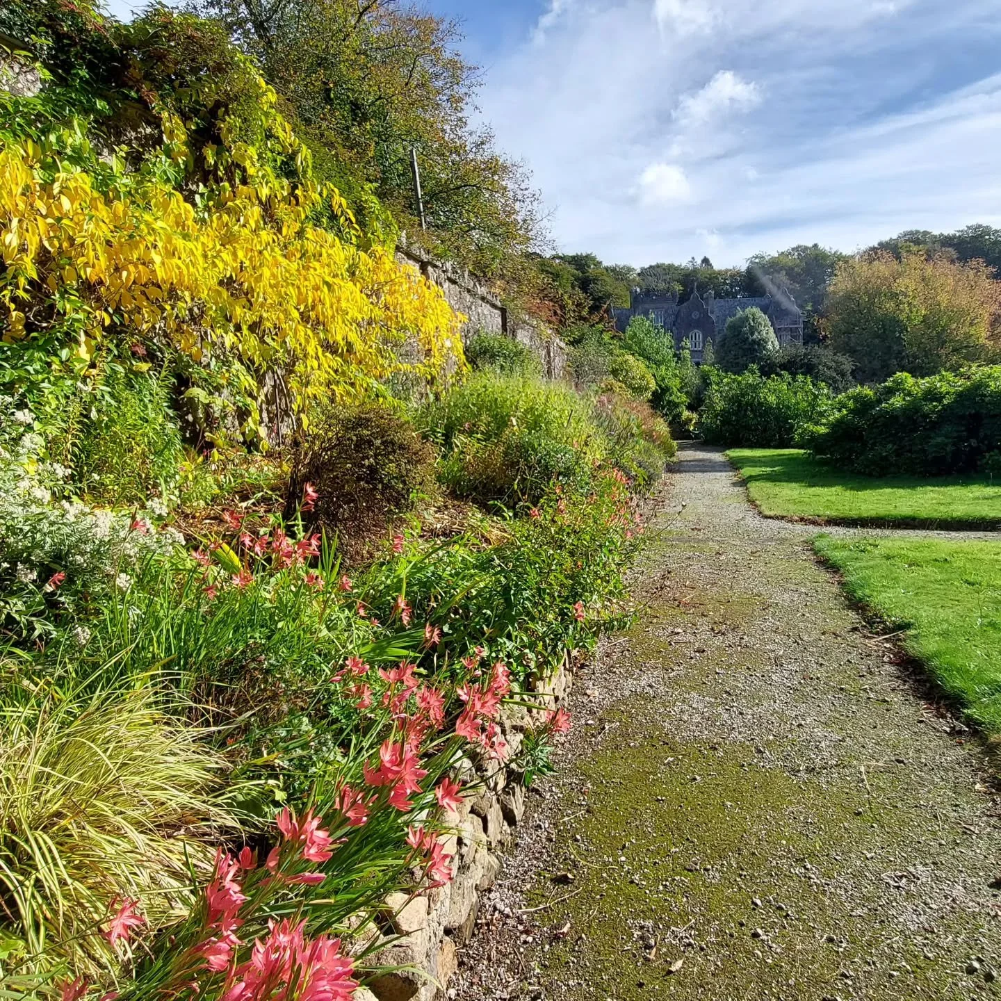 Pretty colours in the herbaceous border at Lukesland,  ready for our first opening of the autumn season on 5th October 11am to 5pm. Full details at www.lukesland.co.uk 

#devongardens #devon #devonlife #gardens #nationalgardenscheme #southhams #dartm