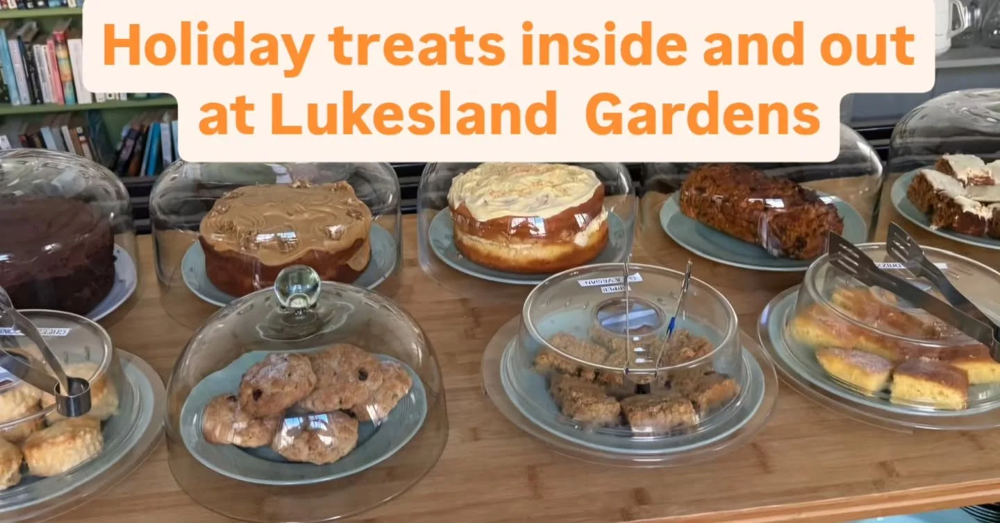 Whatever the weather, there is so much to enjoy at Lukesland Gardens over the Easter holidays. Full details at www.lukesland.co.uk 
#easter #kidsgofree #devongardens #devondogs #devonlife