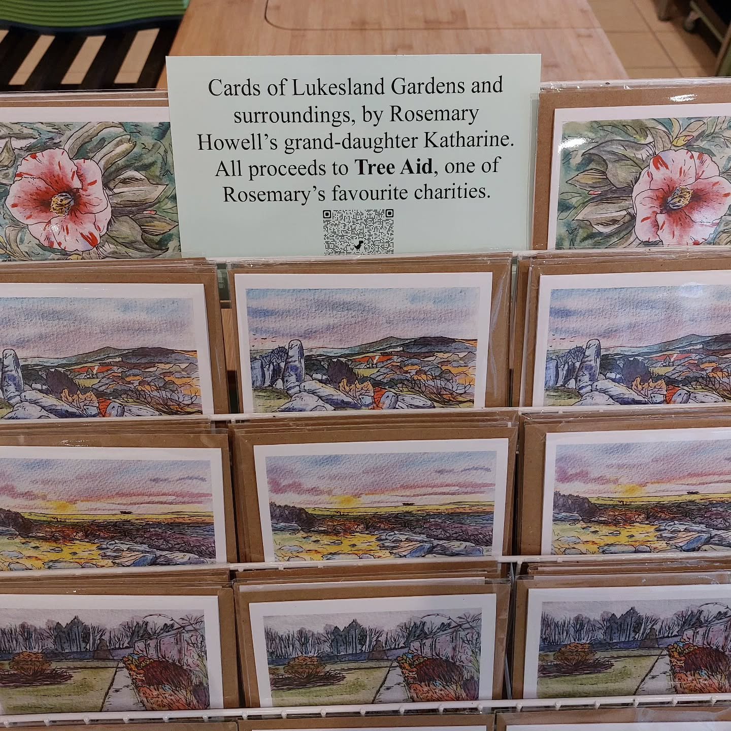 Lovely sketches of Lukesland and Dartmoor by the late  Rosemary Howell's grand-daughter Katharine -  on sale in the tea room in aid of Tree Aid, one of Rosemary's favourite charities.
