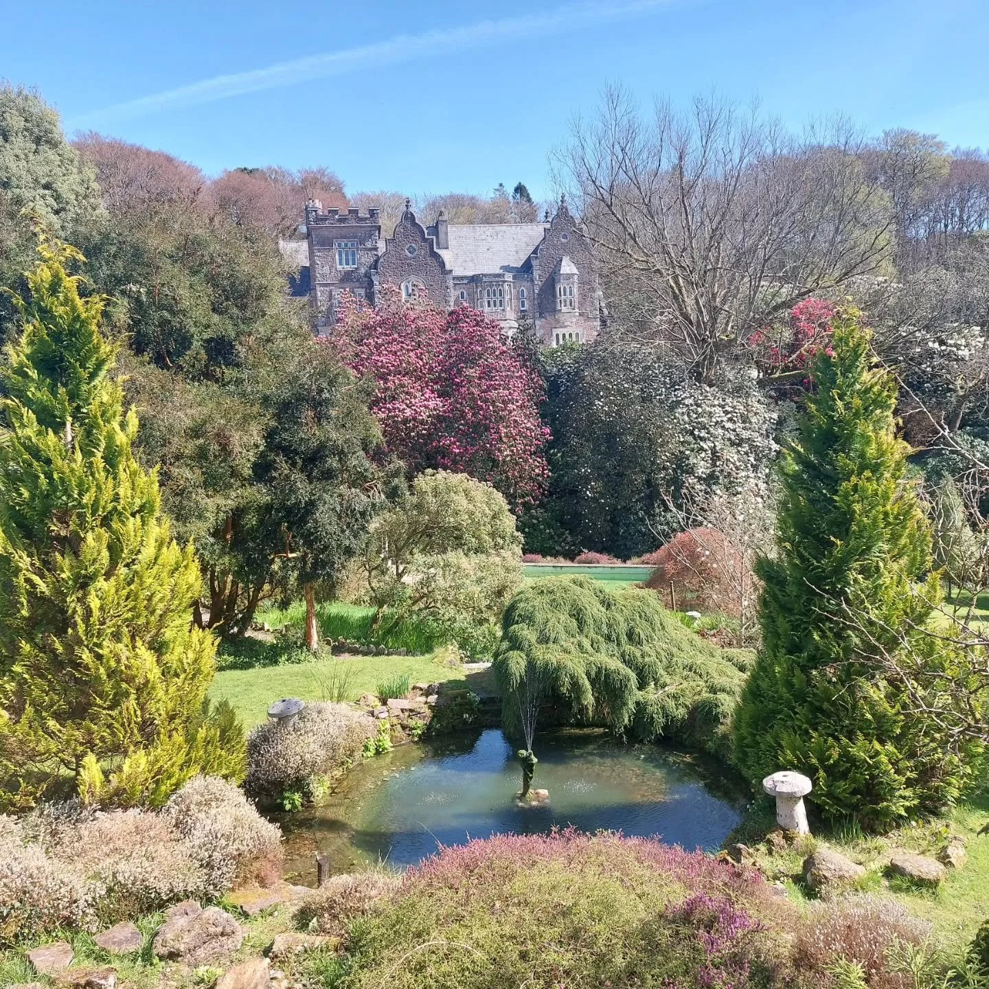 Blue skies smiling at me...Perfect weather to visit Lukesland Gardens, Ivybridge. Open 11am to 5pm  on Wednesdays, Sundays and Bank Holidays till 7th June. Full details at www.lukesland.co.uk 
#devongardens #easterholiday #kidsgofree #devondogs #sout