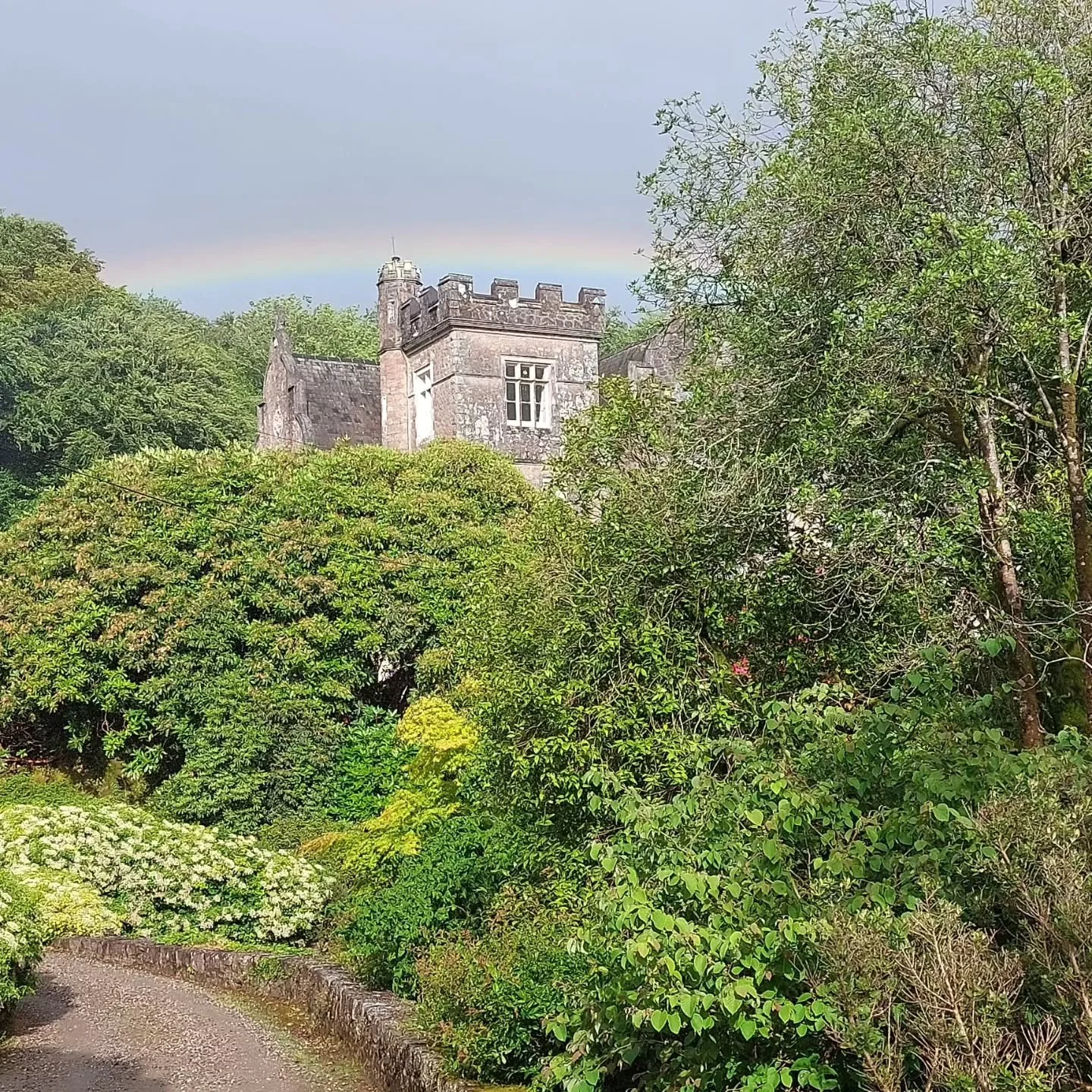 April showers in June! Strange weather, but it's brought Lukesland into full lushness and a hundred shades of green for our last opening of the Spring season this Sunday 7th June. Singing Mamas and art demos too. Full details at www.lukesland.co.uk #