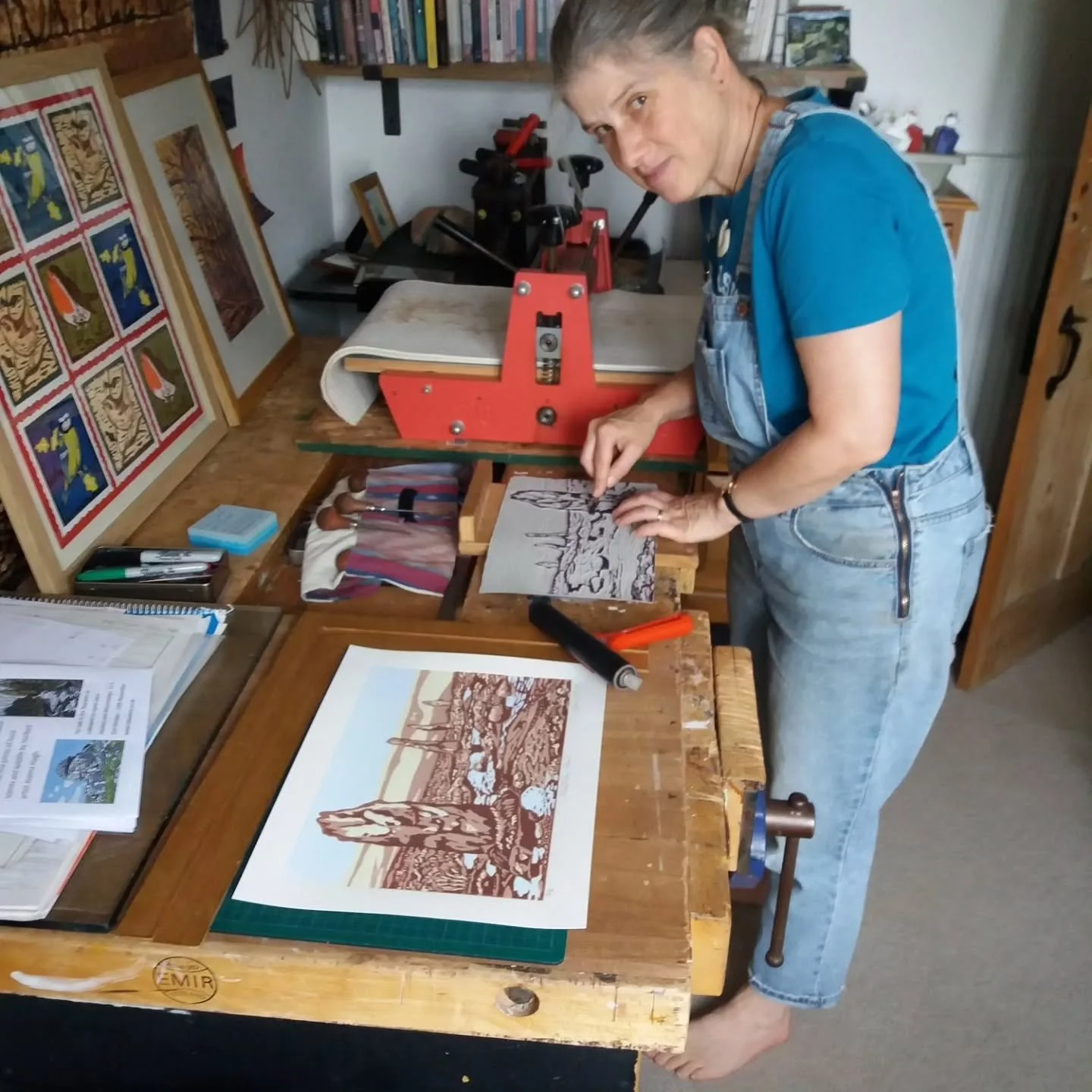 Lino cut demo at Lukesland from 2- 4pm today Sunday 7th June by Harford artist Joanna Haigh. Normal garden entry applies. Full details at www.lukesland.co.uk