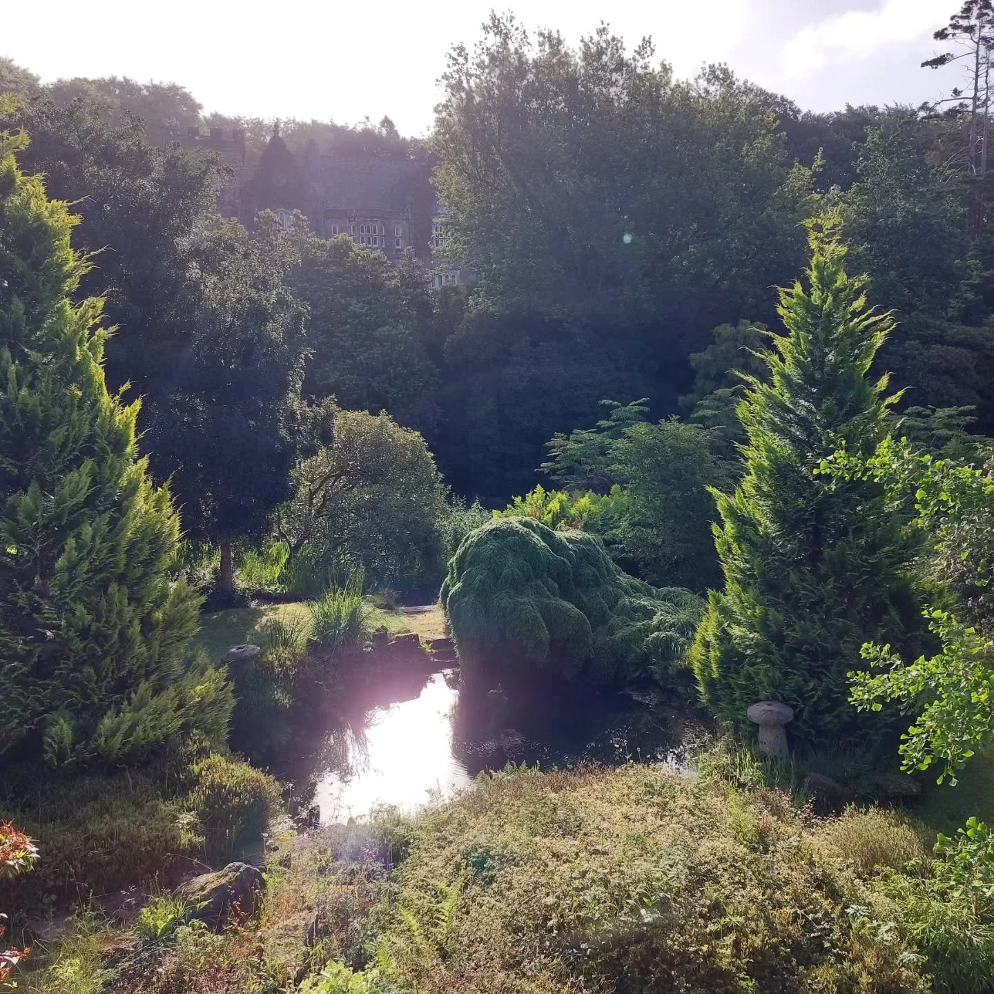 Lukesland Gardens is now a sea of green, which is why we close over the summer till October. Thanks to everyone who has followed and liked us on Instagram and Facebook and told friends about us. We have had a great season. I won't be posting so much 