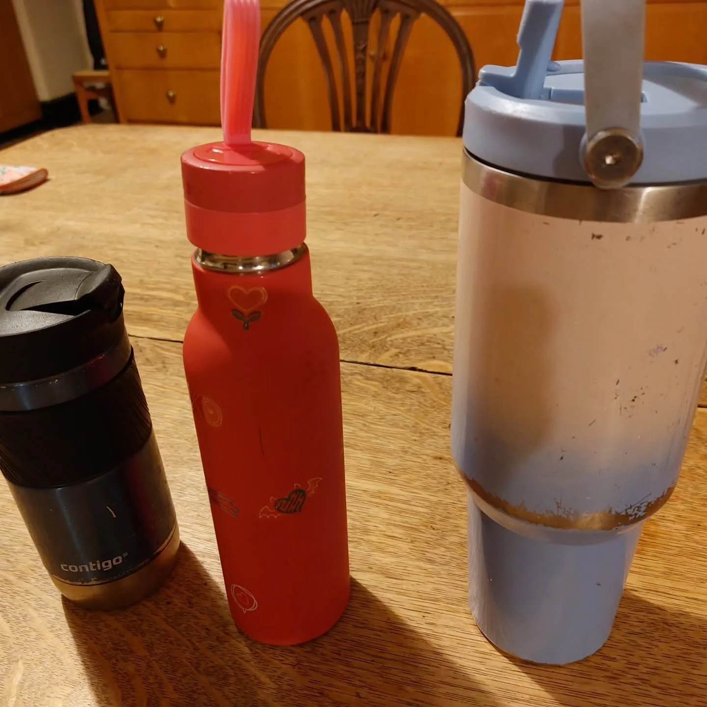 These were left in the Lukesland tea room this season. If you recognise them and want to claim them, send a message.