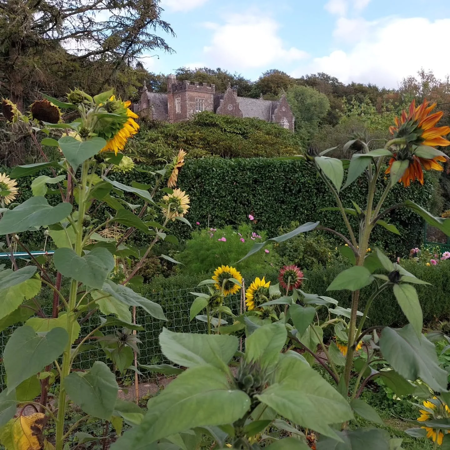 Just over 2 weeks till Lukesland's autumn season begins on Sunday 4th October. Full details at www.lukesland.co.uk