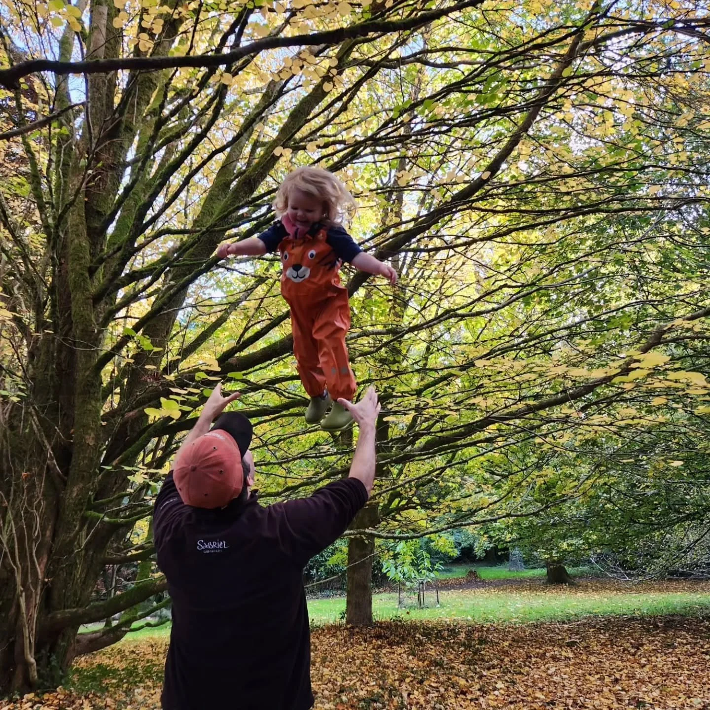 Family fun at Lukesland Gardens, Ivybridge. Open for beautiful autumn colour on Sundays and Wednesdays 11am to 5pm till 15th November. Children come in free and dogs are welcome on a lead. Full details at www.lukesland.co.uk #plymouthlife #bbcspotlig