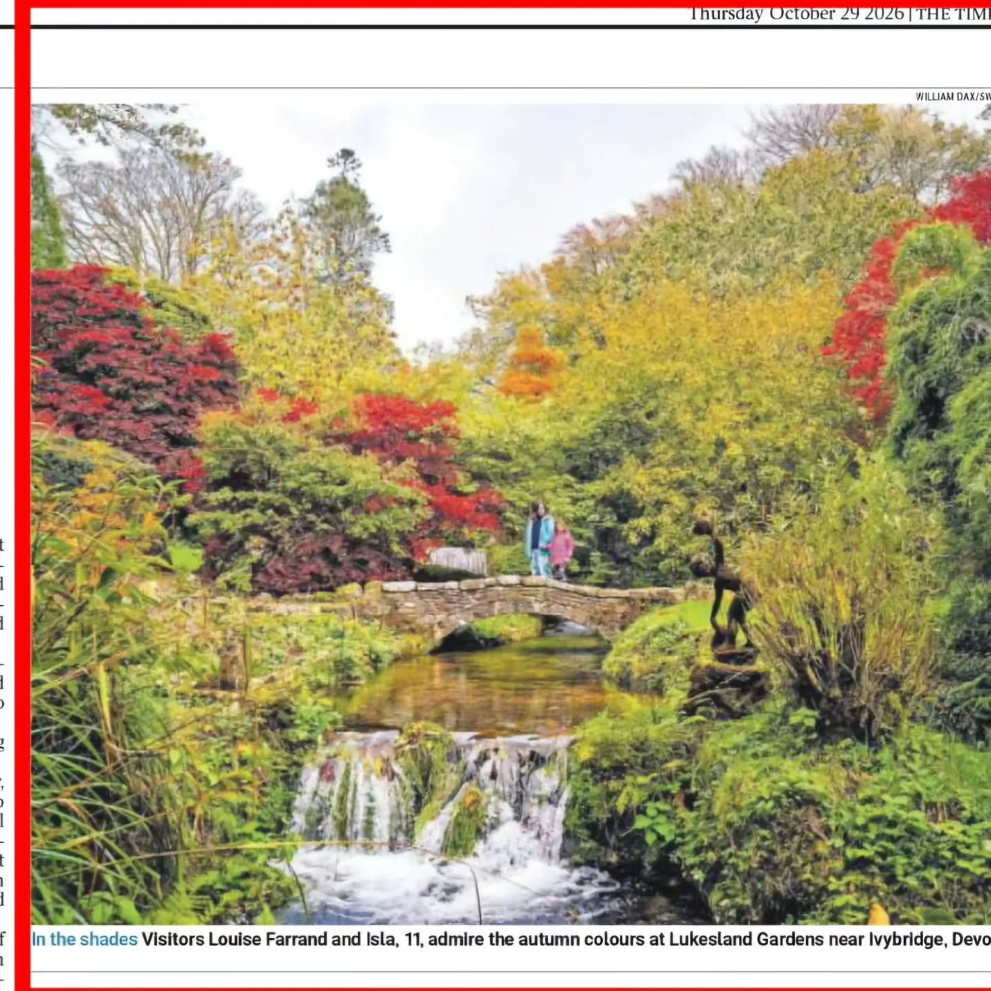 Rushing waterfalls and gorgeous autumn colours at Lukesland Gardens featured in the Times today. Come and see for yourselves. We are open on Sundays and Wednesdays 11am to 5pm till 15th November. Full details at www.lukesland.co.uk
#devonlife #plymou