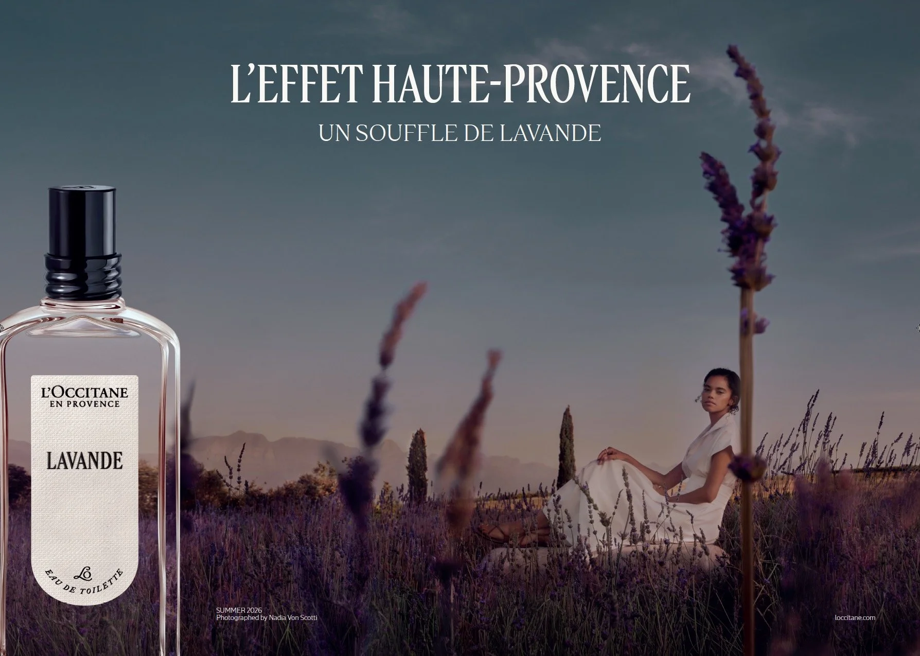 Lavender_Caryn.jpeg