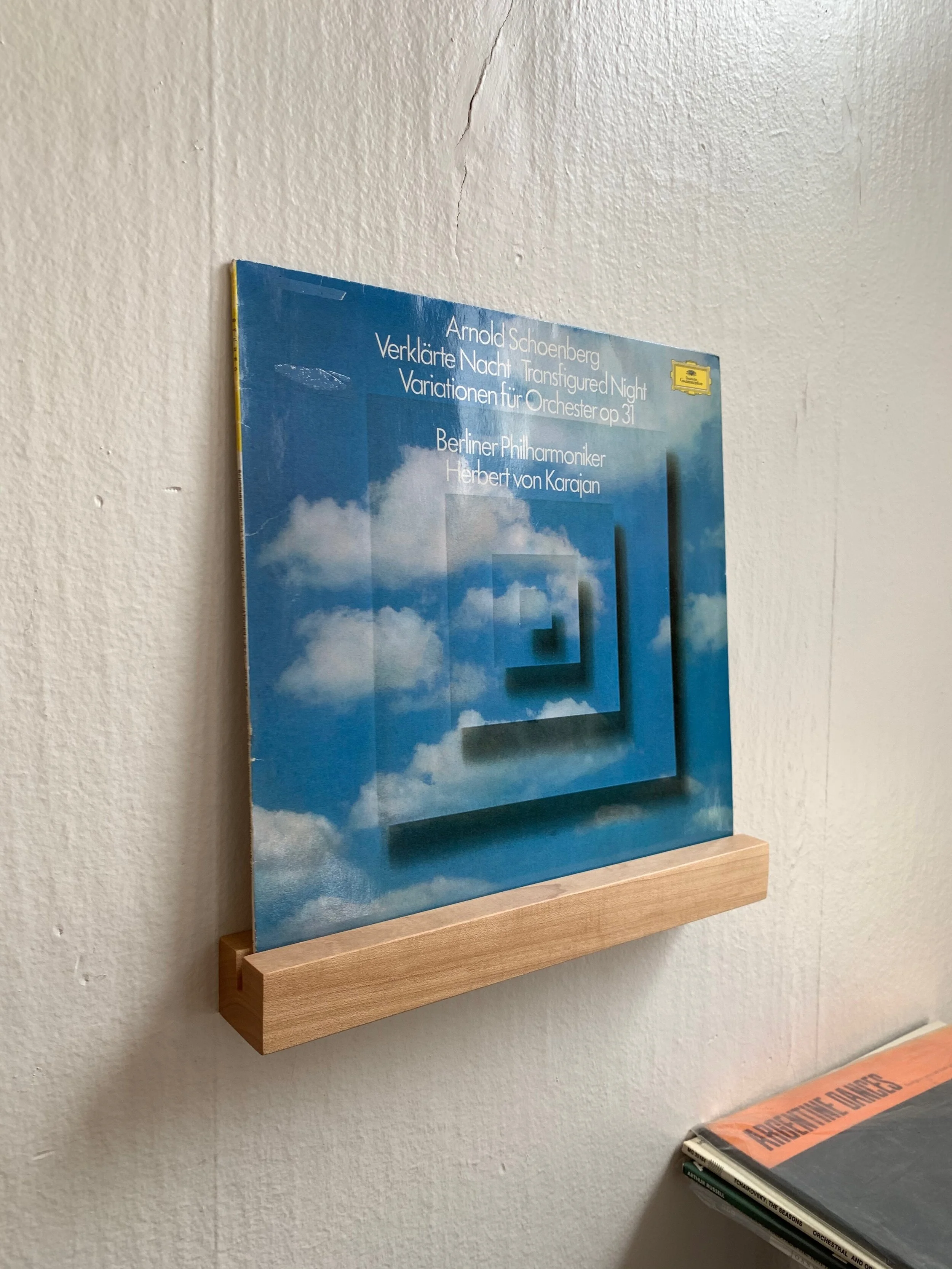 Custom Floating Record Display Shelf for Angels Ate Lemons