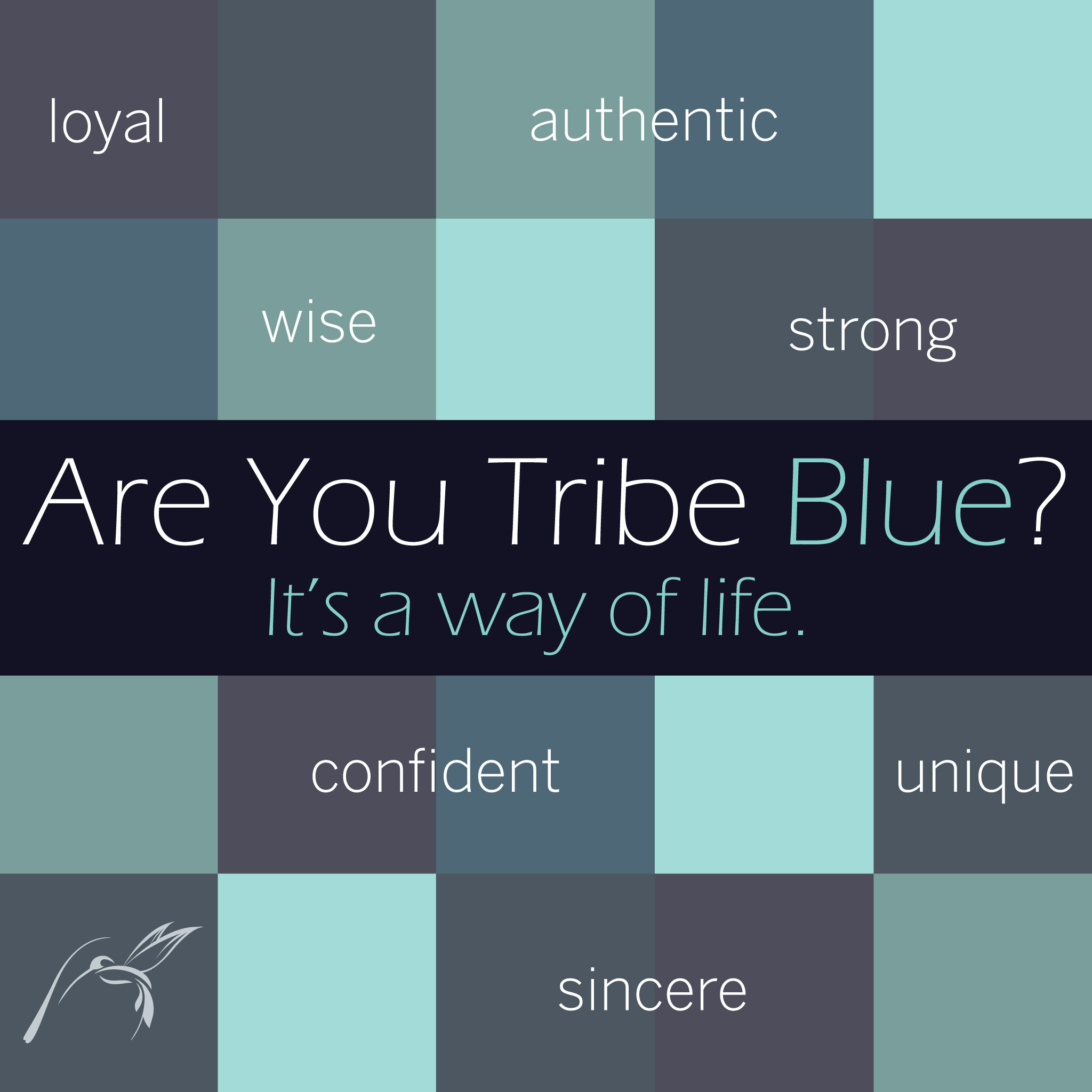 Instagram-are-you-tribe-blue.jpg