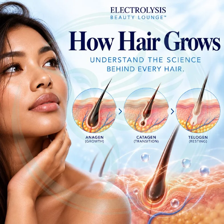 Infographic explaining how hair grows through the hair growth cycle, including the phases Anagen, Catagen, and Telogen, with details on hair anatomy, factors affecting growth, and the benefits of electrolysis.