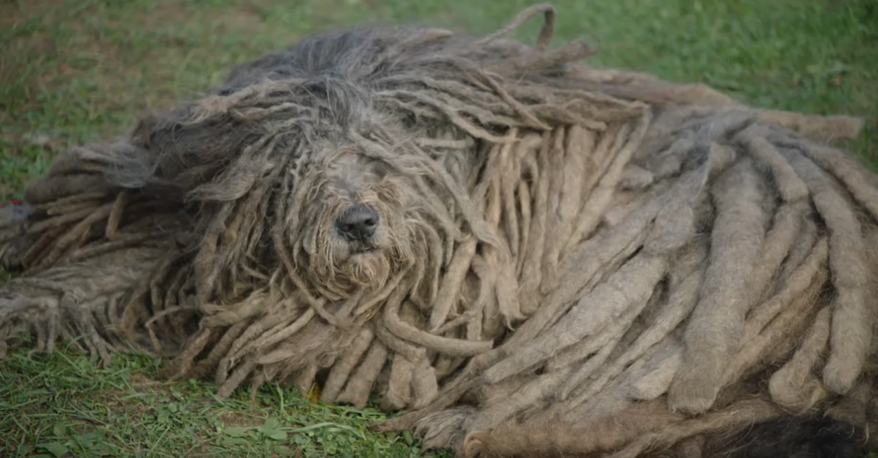 Screenshot 2025-08-05 at 10.15.19 PM.png