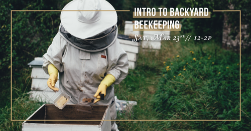 Intro to Backyard Beekeeping Class