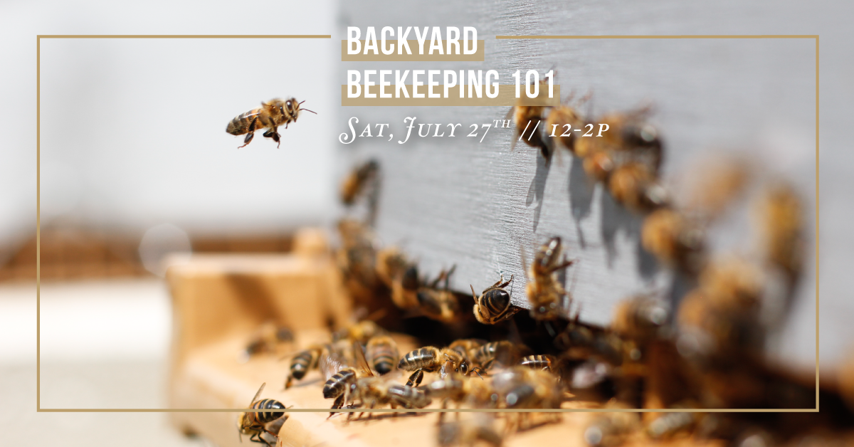 Backyard Beekeeping 101