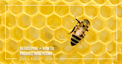 Beekeeping + How to Produce Honeycomb
