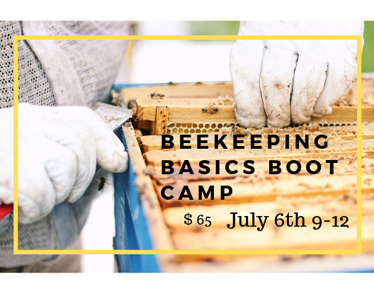  Beekeeping  Basics Boot Camp