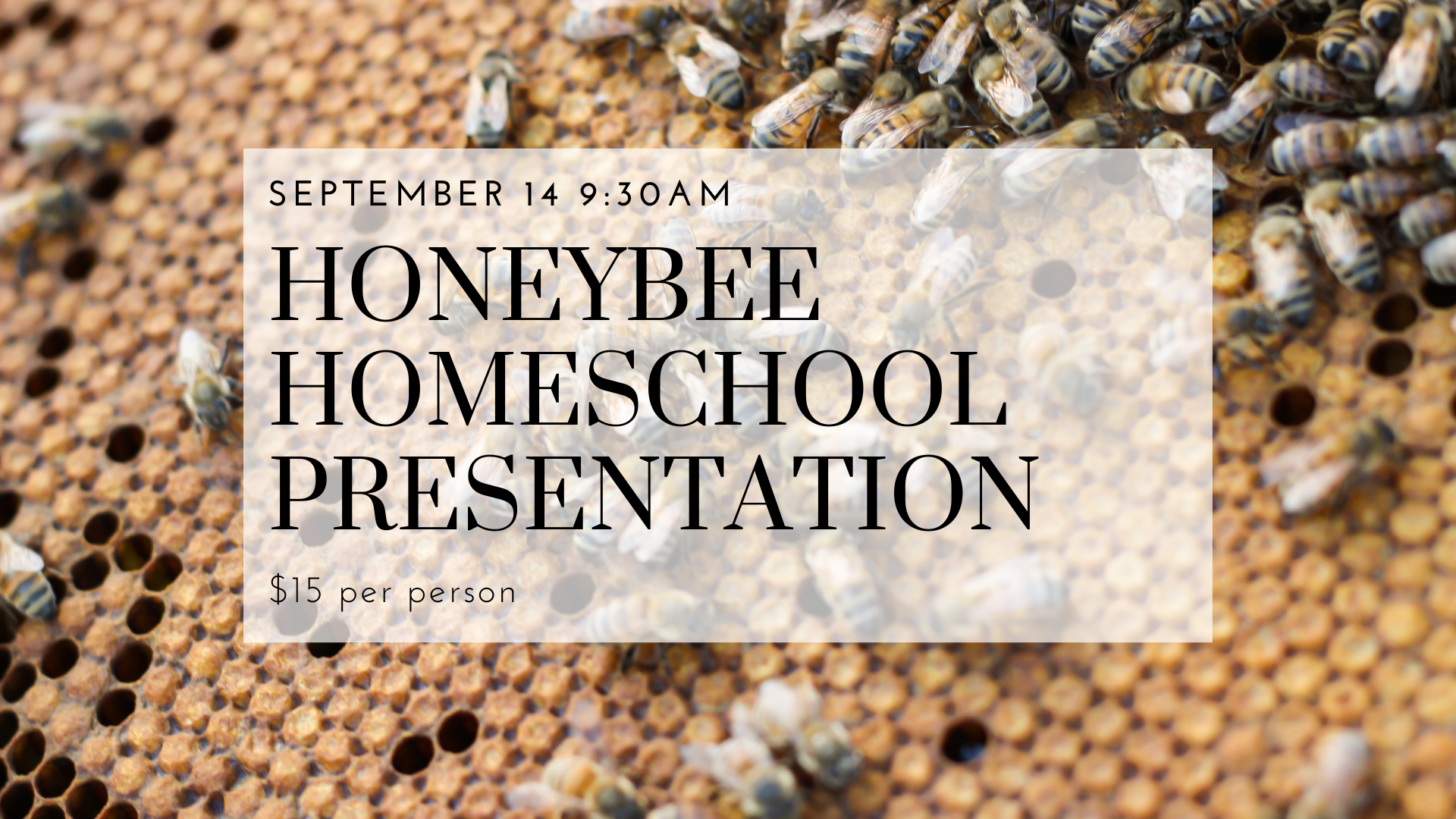 Honeybee Homeschool Presentation