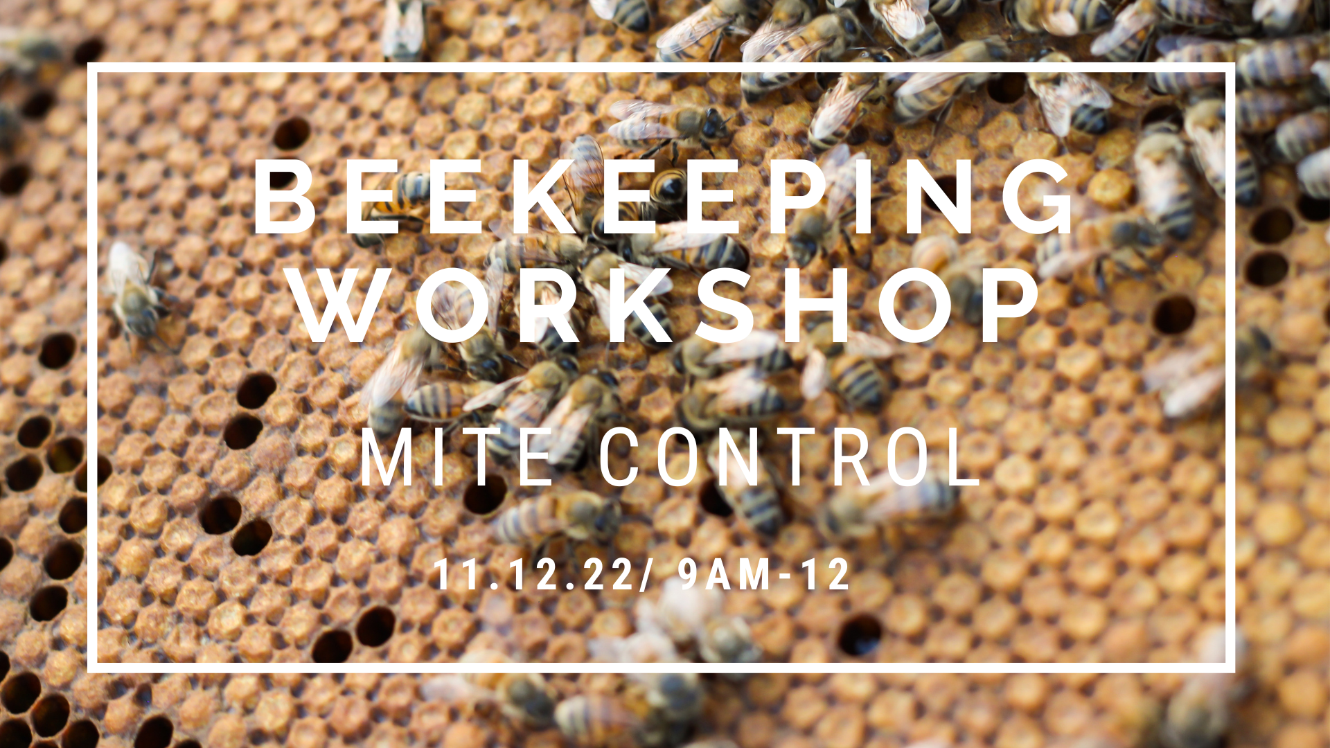 Beekeeping Workshop: Monitoring and Treating for Varroa Mites
