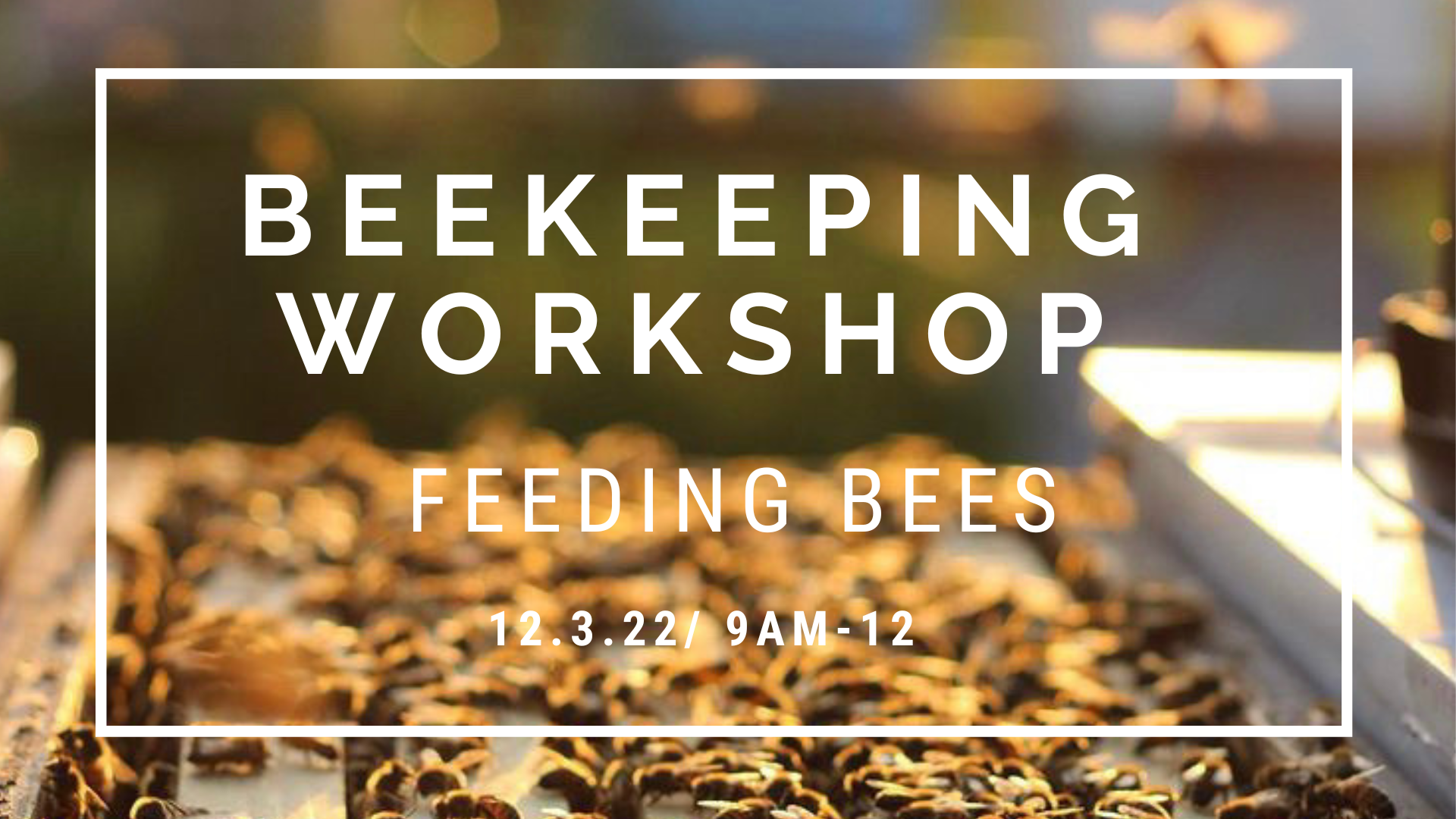 Beekeeping Workshop: Feeding Bees