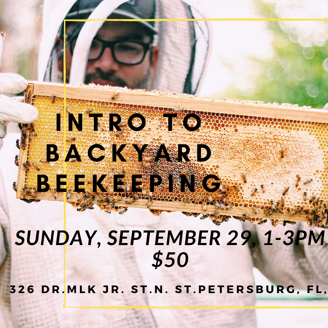 Intro to Beekeeping Workshop