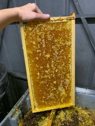 Biscuits + Bees