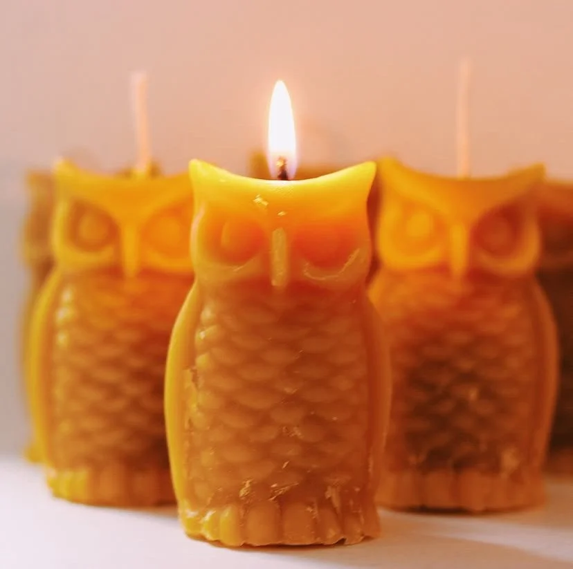 image0 - 2025-11-04T112923.473.jpeg