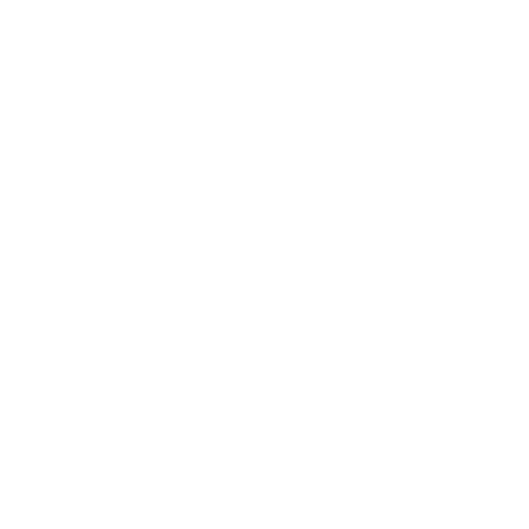 TSS_Sponsors-2026_Bridgestone-white.png