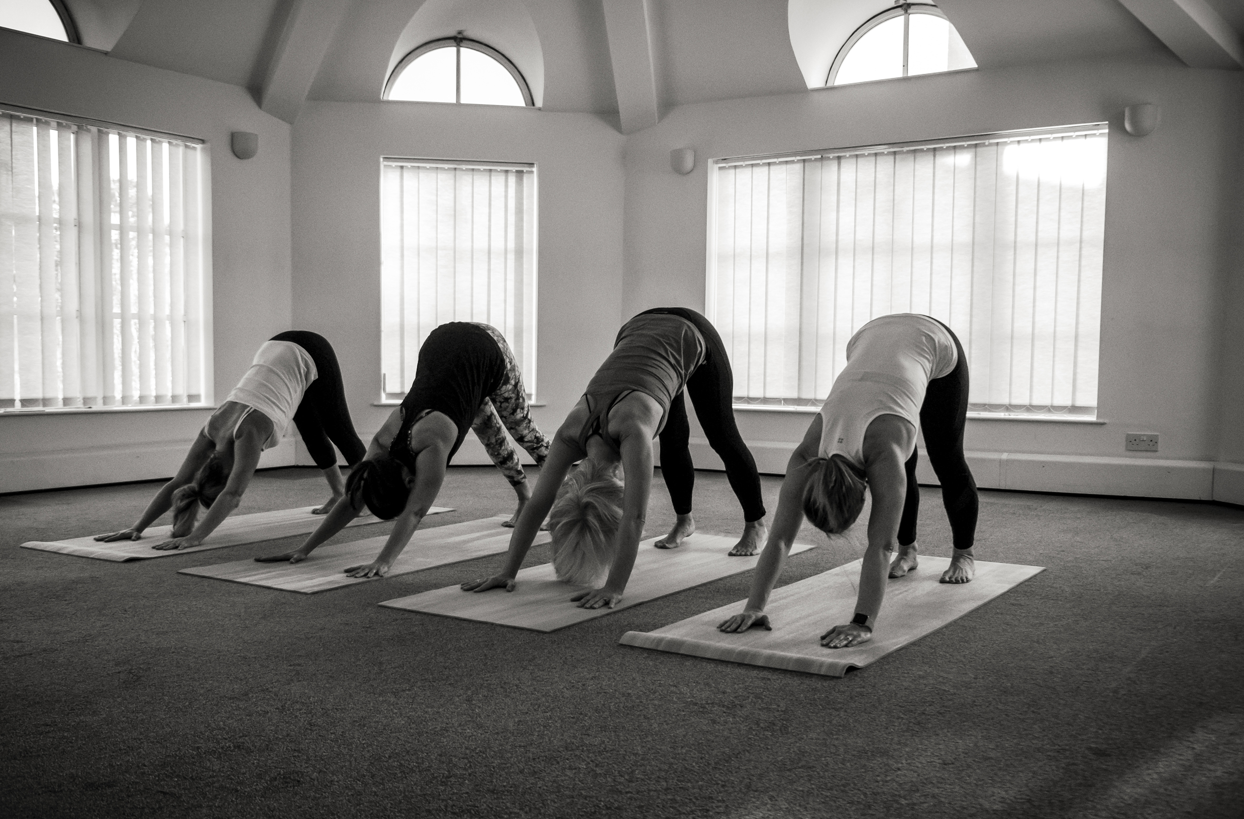 Manor Clinic Studios - Downward Dog Class