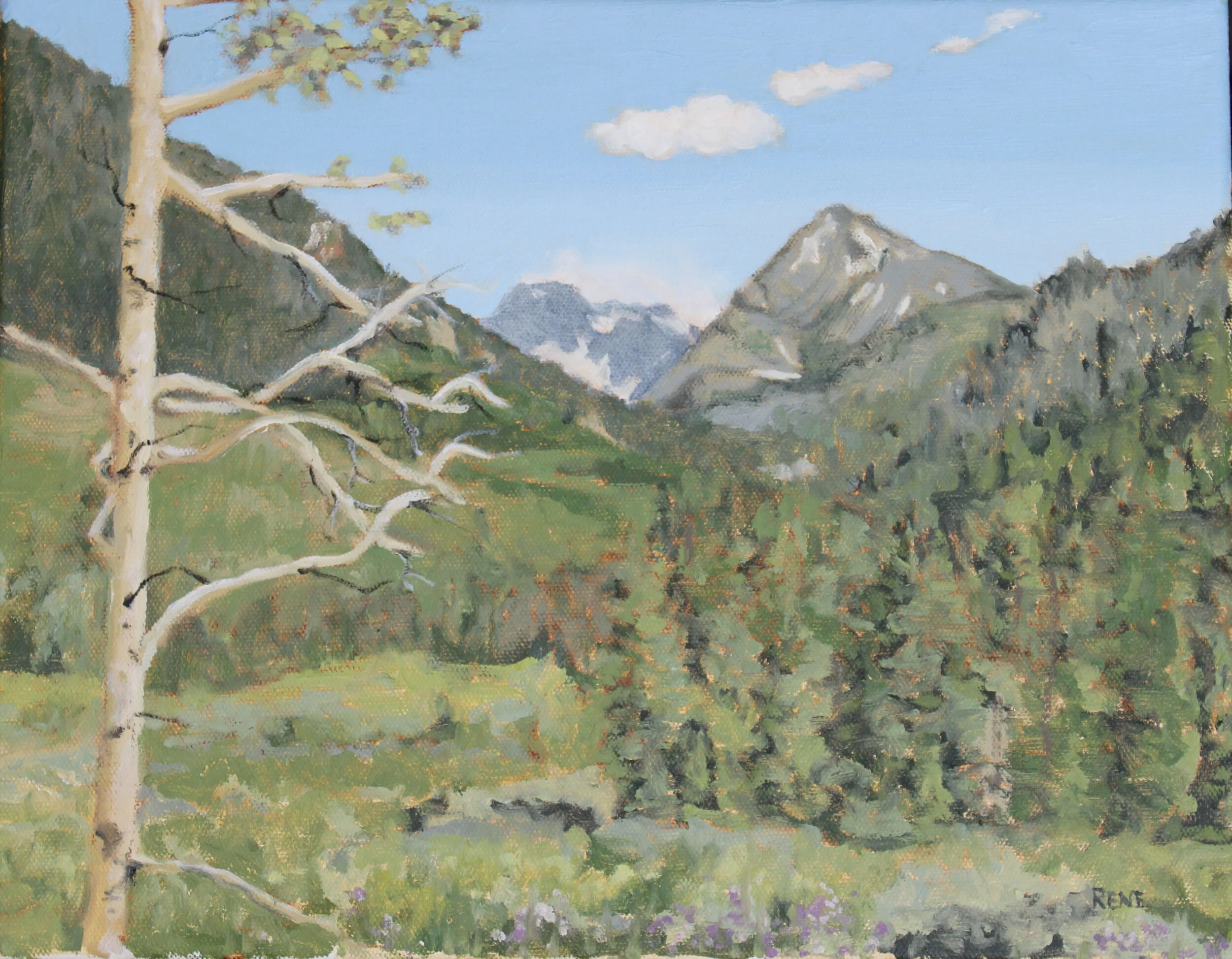 Eagle Colorado 14x11