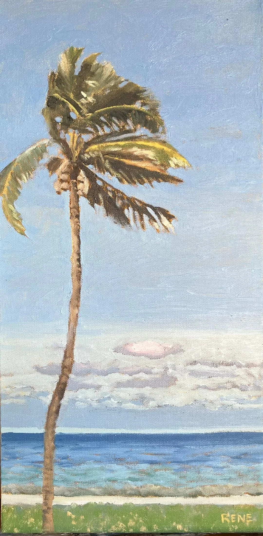 Windy Palm 10"x20"