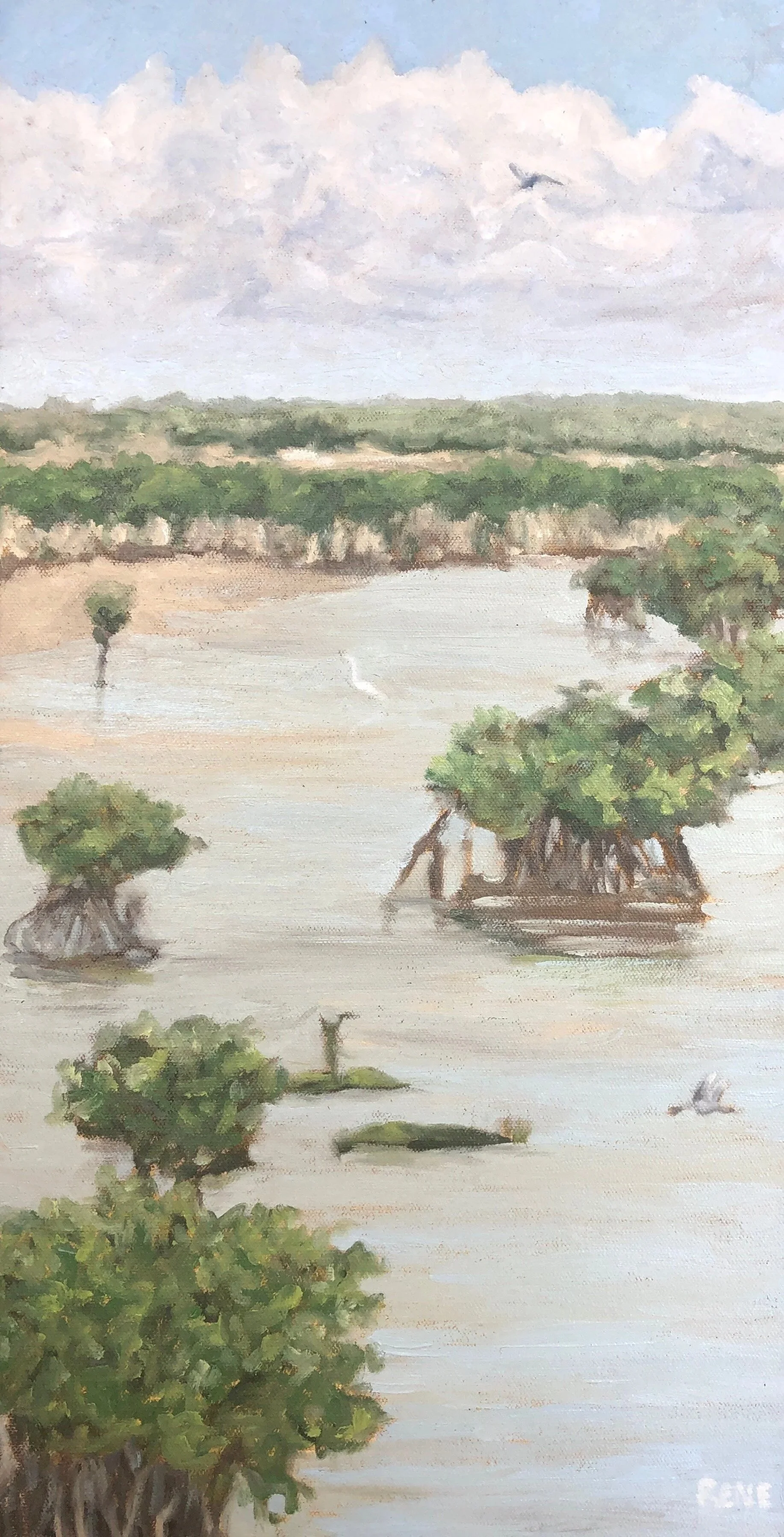 Birds in the Marsh 12x24