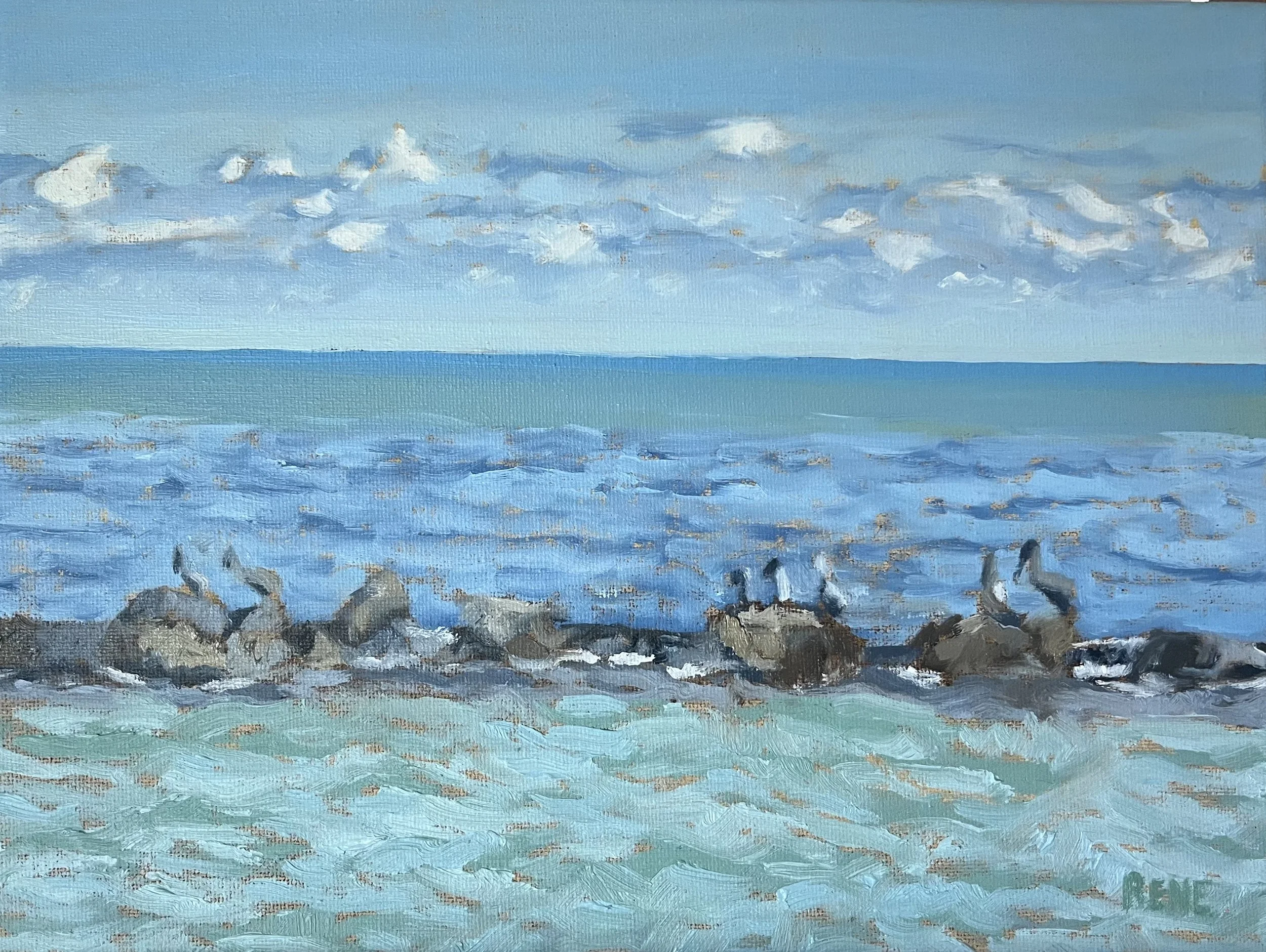  Pelicans at the Pass 12”x9” Oil 