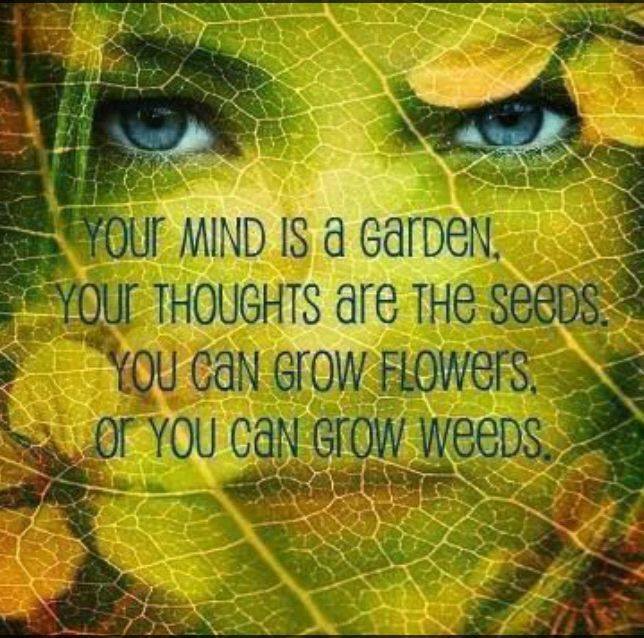Our Mind is a Garden.jpg