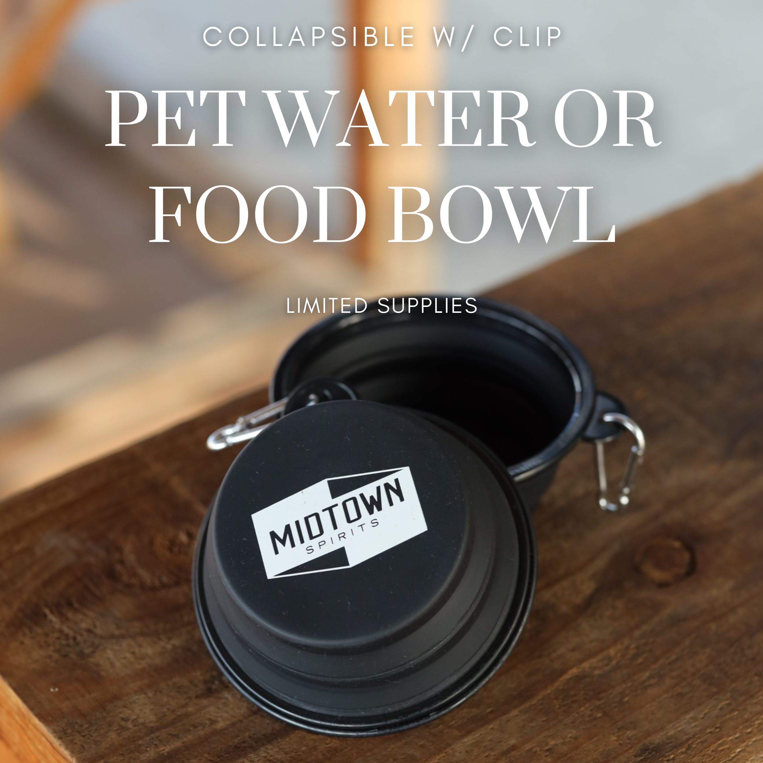 COLLAPSIBLE PET BOWL.png