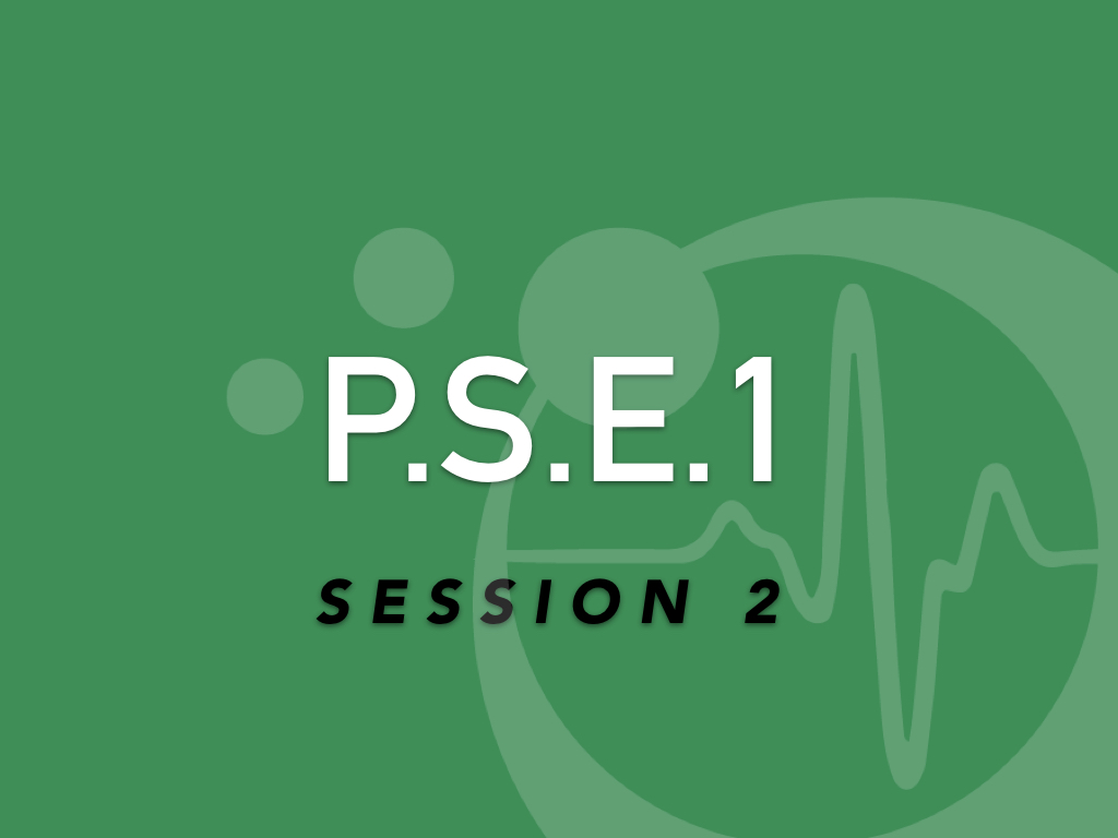 Premiers Secours en Equipe niveau 1, session 2