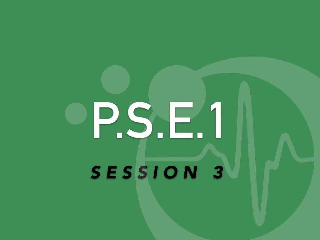 Premiers Secours en Equipe niveau 1, session 3