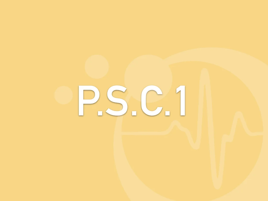 Prévention et Secours Civiques niveau 1