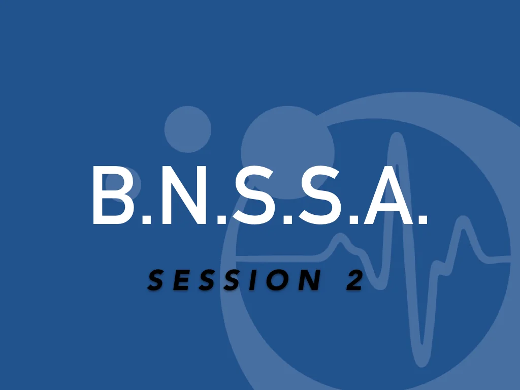 Formation BNSSA / Recyclage