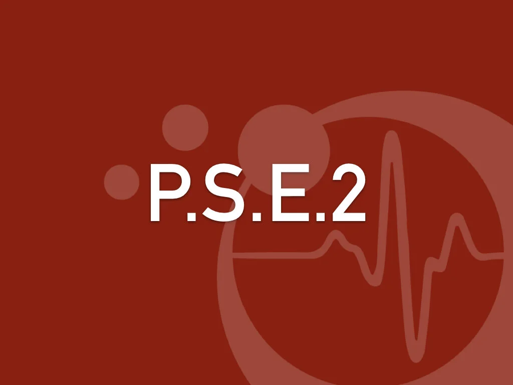 Premiers Secours en Equipe niveau 2 / Jour 3