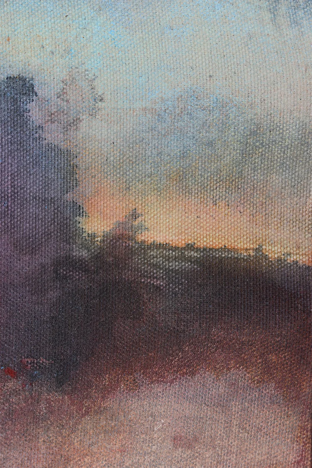 After the Storm 6.jpg