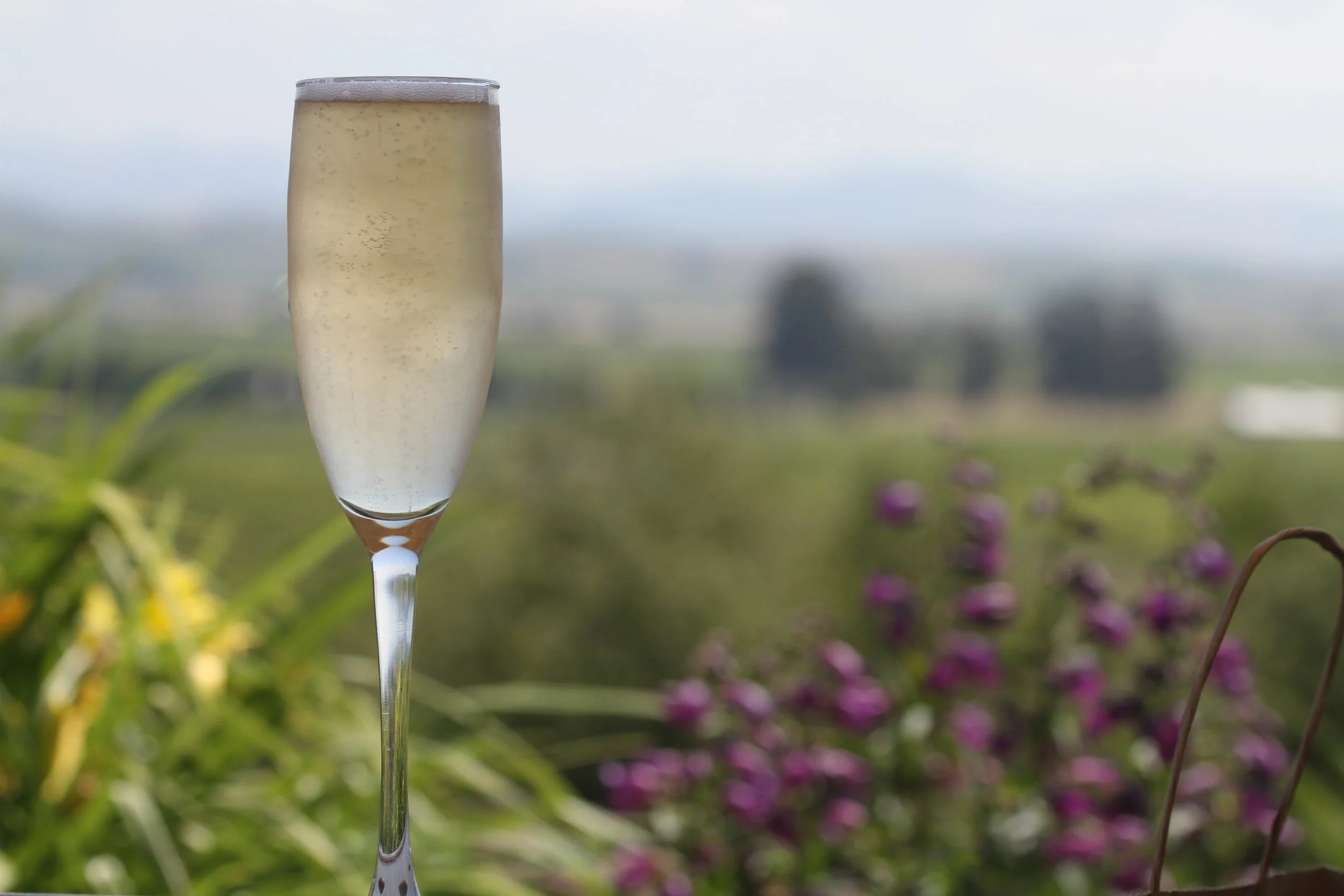 AVA - American Viticultural Area