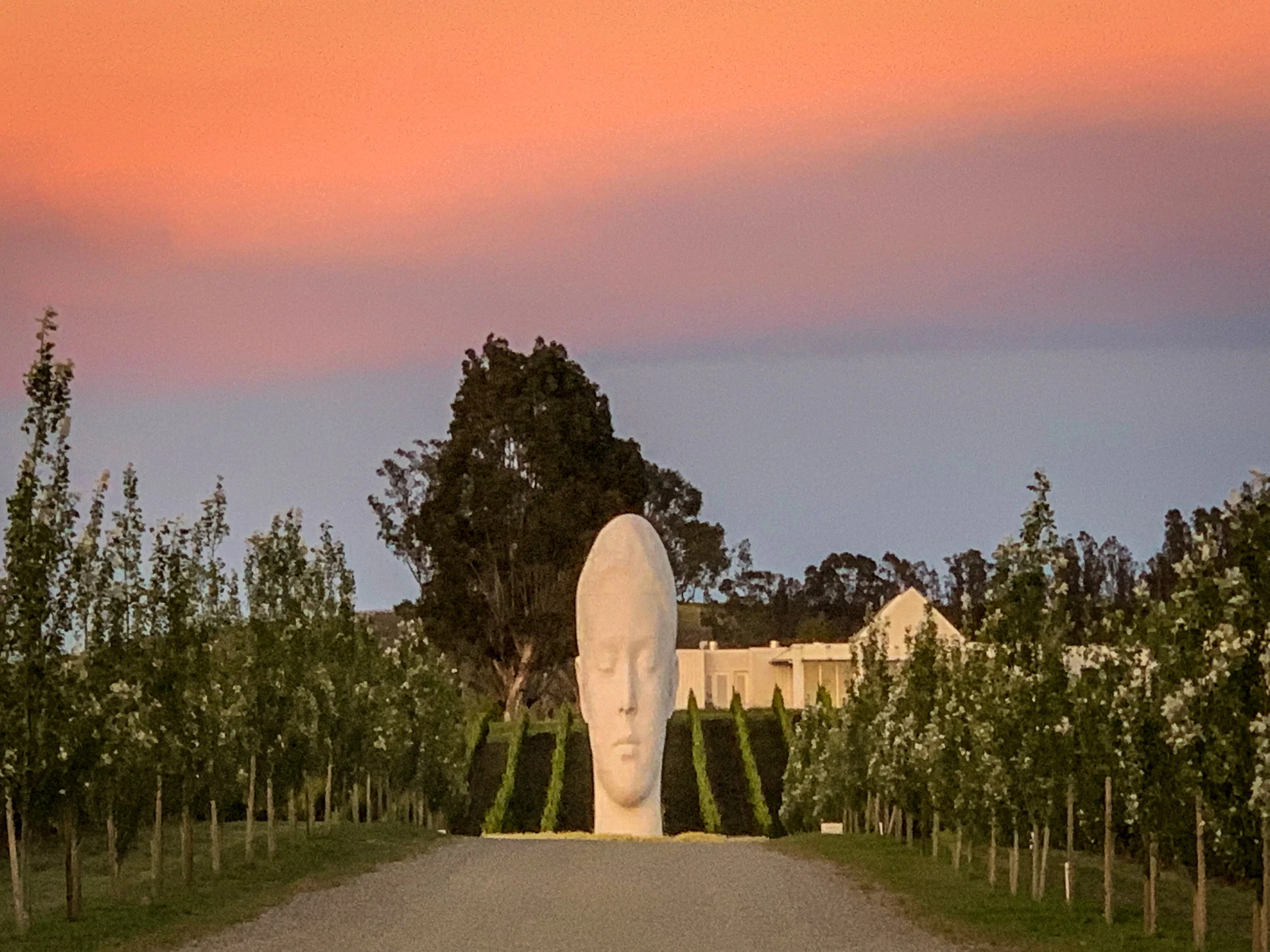 Carneros Napa Sonoma Donum Estate