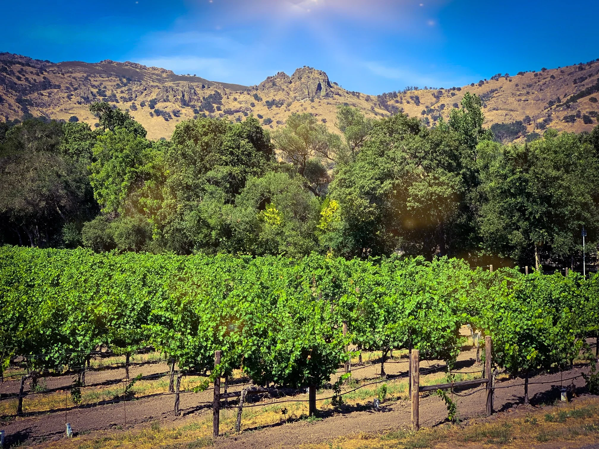 Stags Leap AVA - Napa