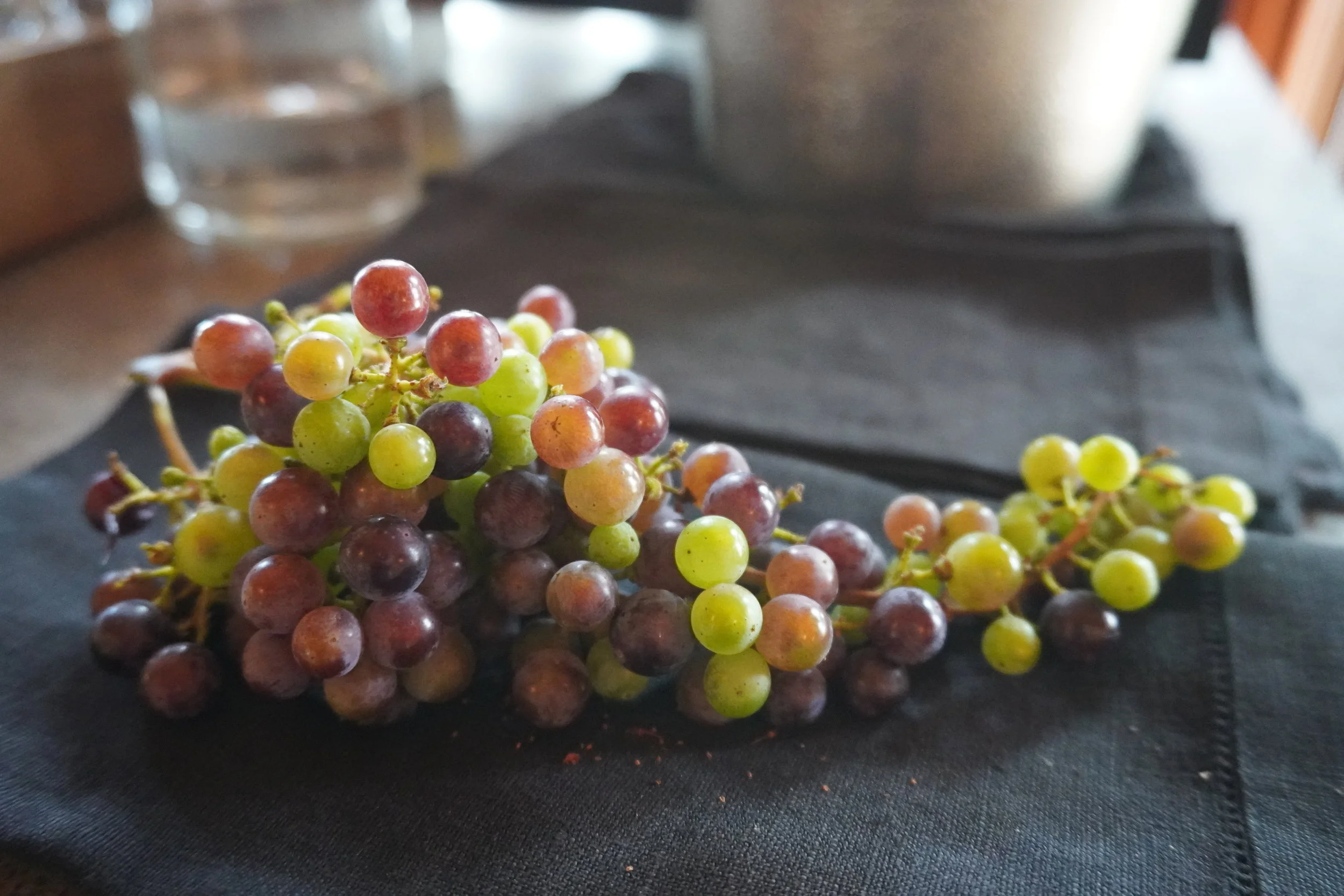 Atlas Peak AVA - Napa- A Taste of Atlas Peak