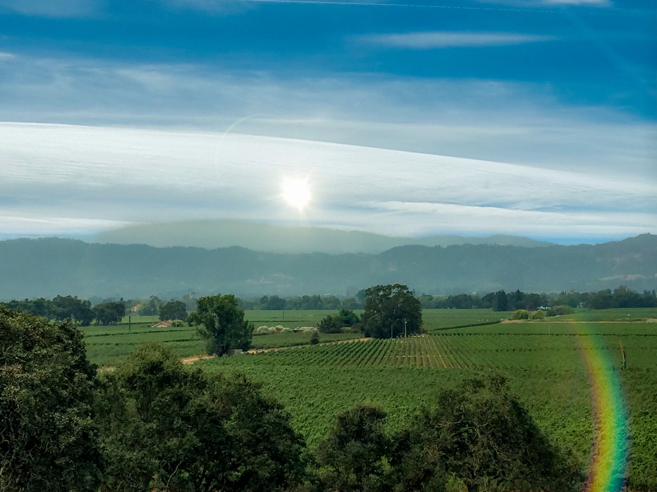 Oakville AVA - Napa- Miner Family Winery
