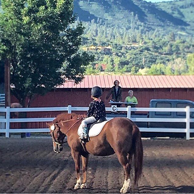 Pepper and pony halting at X in fine style. Can't wait to see what the summer brings for our 4CD&amp;CTA members and their best four-legged friends! Thanks for the pic, @alison.h.eddy and thanks for taking it @cogranolabar!