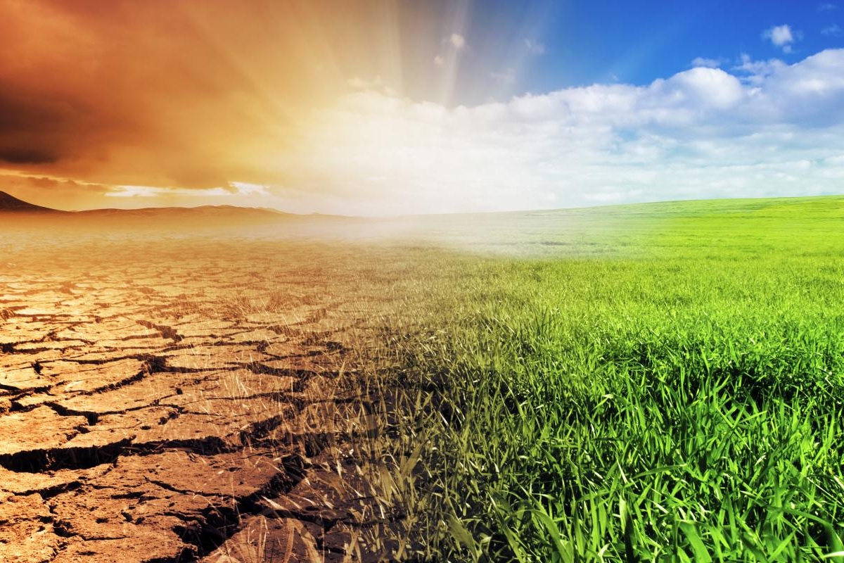 Link+ClimateChange_0.jpg