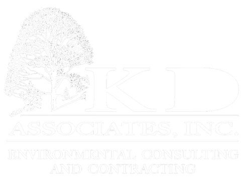kd-associates-logo-white.png