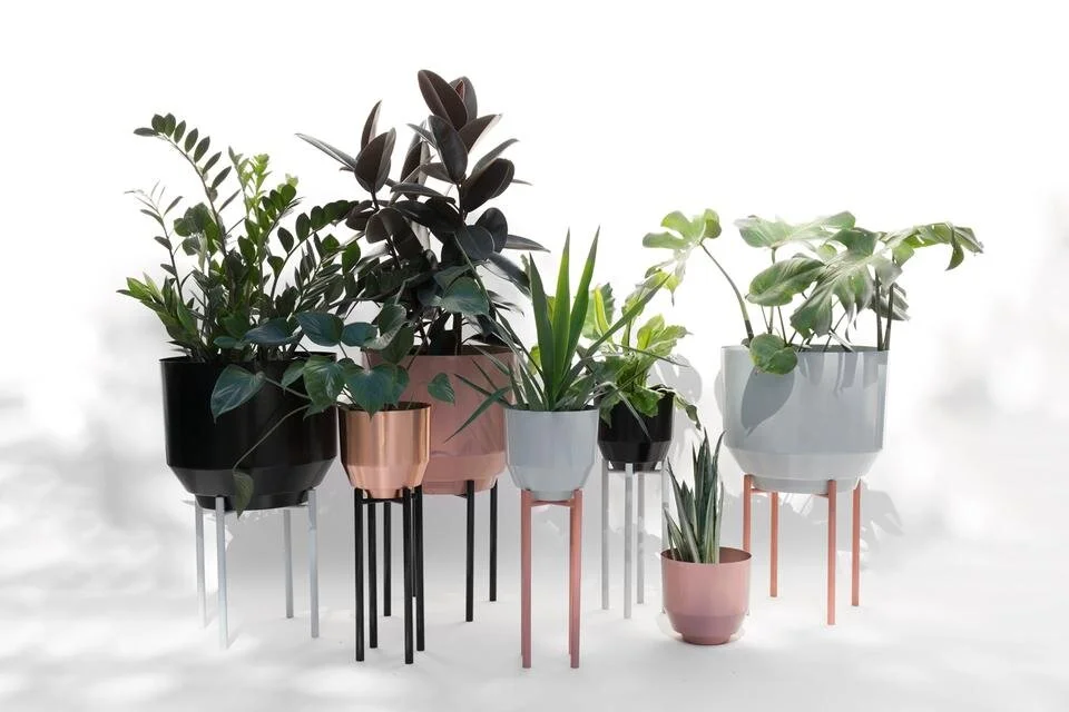 8" inch Steel Planter Stand in Peach for indoor/outdoor use  The Spite Haus
