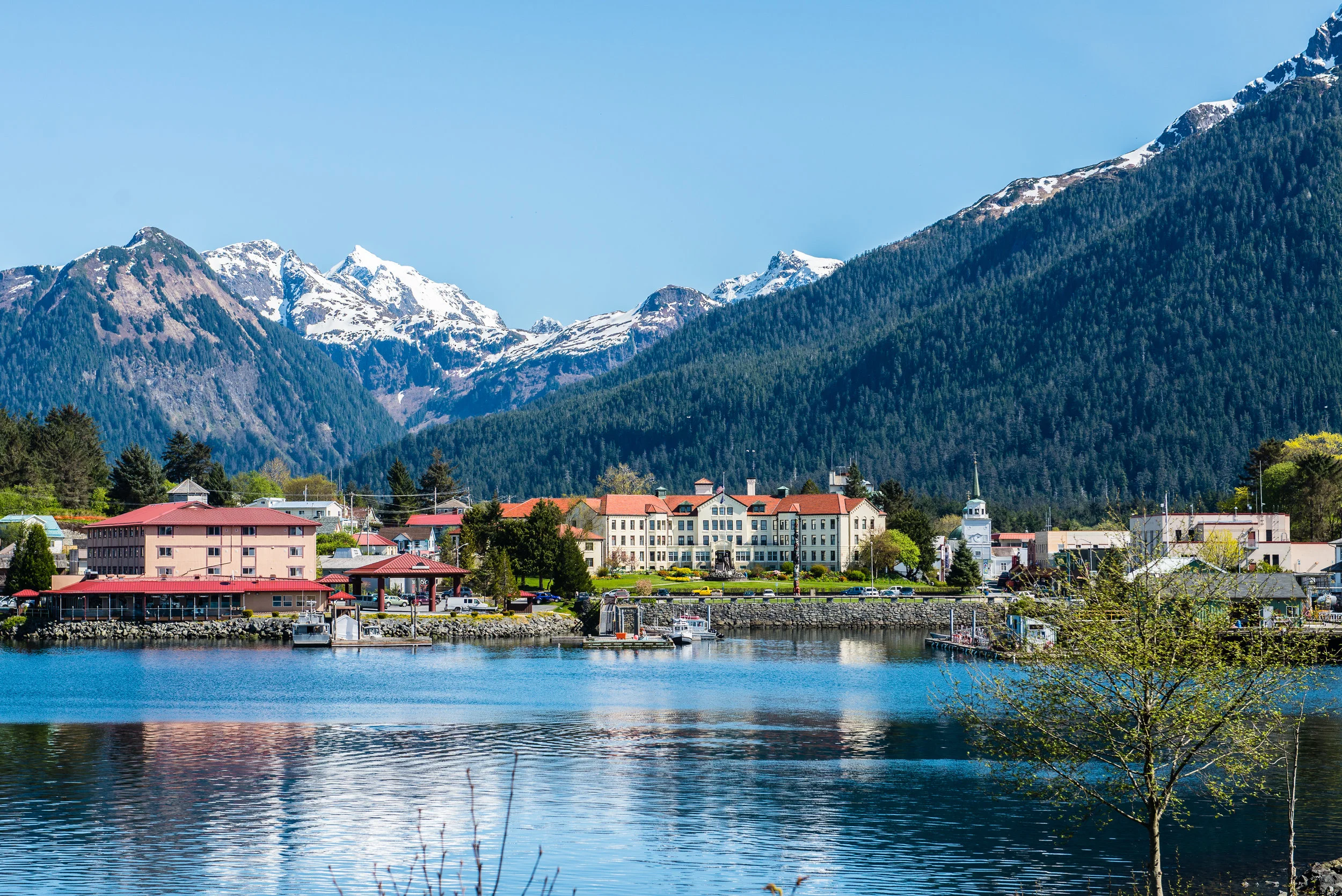 AdobeStock_109753142.jpeg
